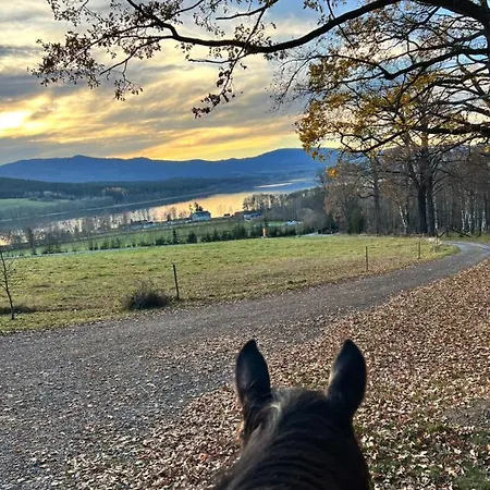 Daja Konukevi 3*